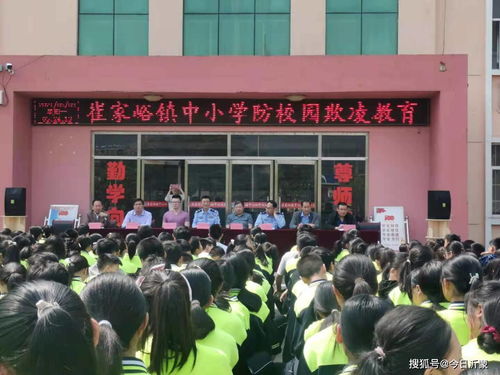 山东沂水县崔家峪镇中心小学召开法制教育报告会