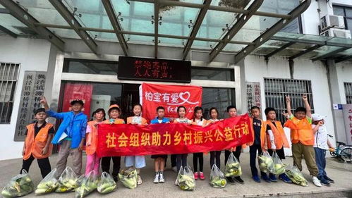 上海金山将描绘全域 公益助农地图