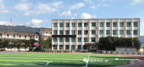 永川这5所学校获全国荣誉 有你孩子学校吗