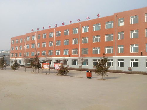 新庄镇中心小学与莱州市沙河镇大王小学的教育使命与特色对比