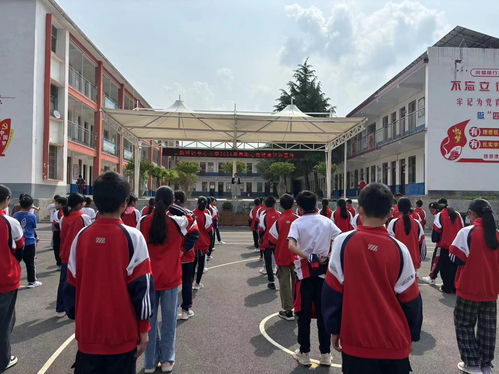 扬起育人之帆 落实心理教育——两校心理健康知识宣传活动纪实